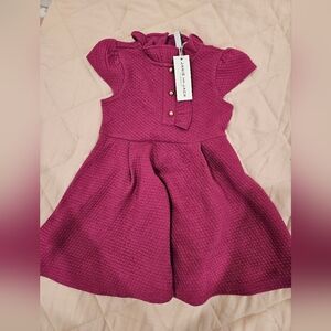 NWT Janie and Jack Textured Purple Dress